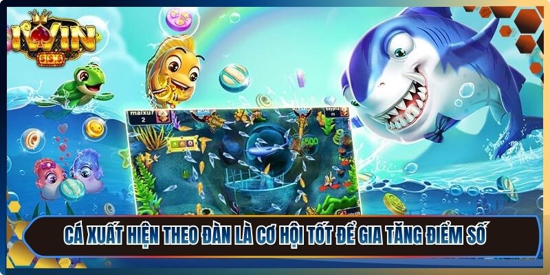 Thời điểm cá xuất hiện theo đàn là cơ hội tốt để gia tăng điểm số nhanh chóng