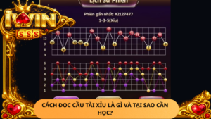 Cach Doc Cau Tai Xiu La Gi Va Tai Sao Can Hoc